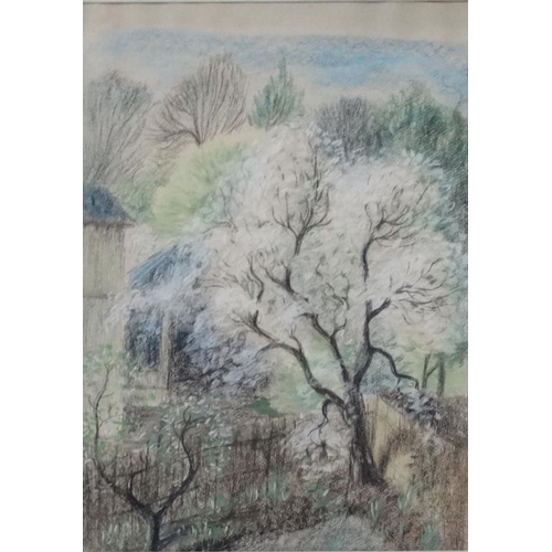 36 - Joan Pilsbury mid XX, Pastel and gouache, pen ink and watercolour x2, 3 in all 'Pear Tree in Putney ... 