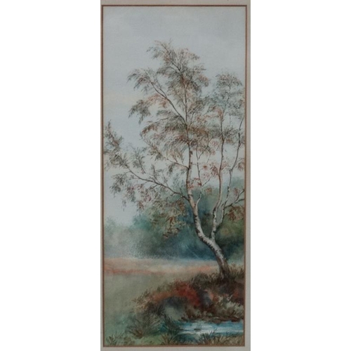 37 - A Wilkinson c. 1900, Watercolours, a pair,  Outside the walled garden,  Silver birch tree, Both sign... 