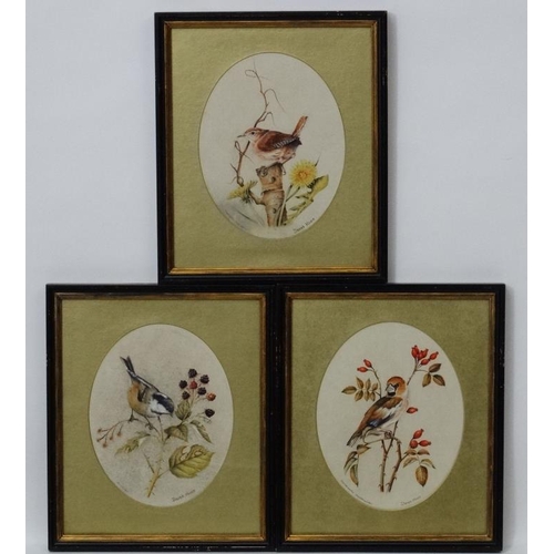 44 - Dereck Hines XX Ornithological School, Three oval watercolours, Coal tit amongst black berries , Haw... 