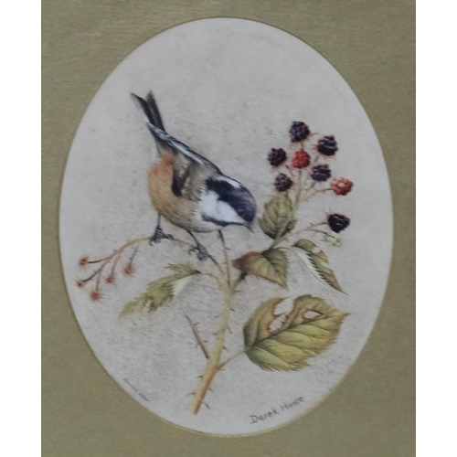 44 - Dereck Hines XX Ornithological School, Three oval watercolours, Coal tit amongst black berries , Haw... 