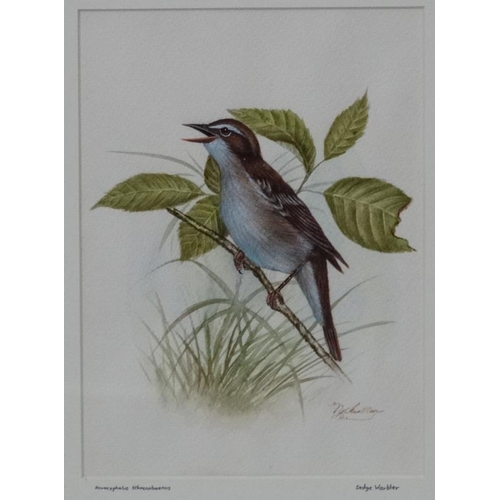 45 - N Chunman XX Ornithological School, Watercolours ,a pair, Male and female Sedge Warblers, latin name... 