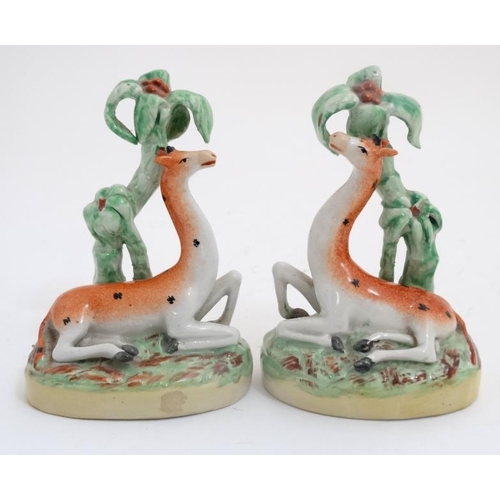 450 - A pair of 19thC handed Staffordshire Giraffe figures lying under palm trees, decorated in shades of ... 