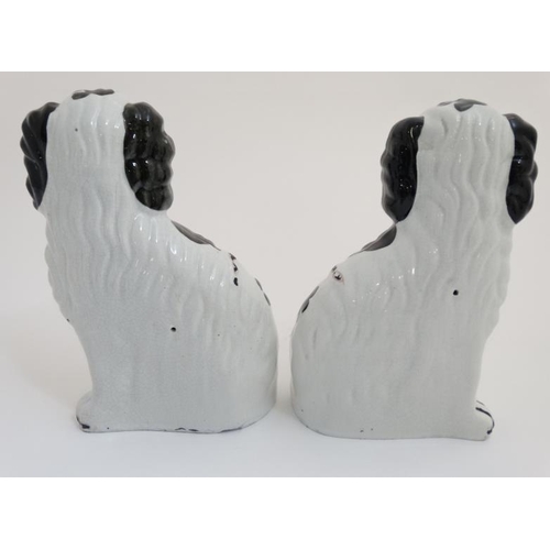 454 - A pair of 19thC black and white Staffordshire Spaniels,  having gilt coloured chair and collar, each... 