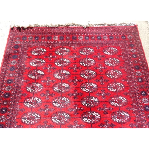 77 - Rug / Carpet :   A woollen Bokara Rug with wine red ground and 4 x 11 (44) botehs to center ,  99 x ... 