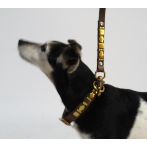 795 - A matching leather dog collar and lead with brass decoration. The lead 44'' long , the collar 21 1/2... 