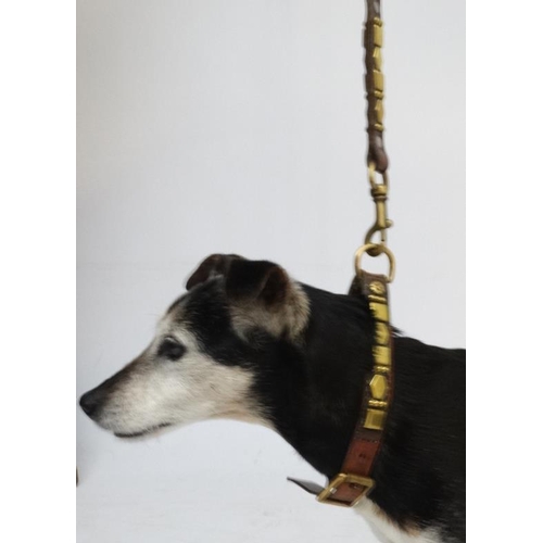 795 - A matching leather dog collar and lead with brass decoration. The lead 44'' long , the collar 21 1/2... 