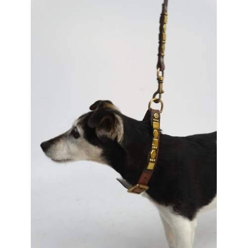 795 - A matching leather dog collar and lead with brass decoration. The lead 44'' long , the collar 21 1/2... 