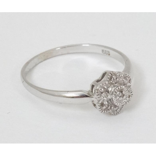 934 - A 14k  white gold ring set with diamonds in a daisy setting