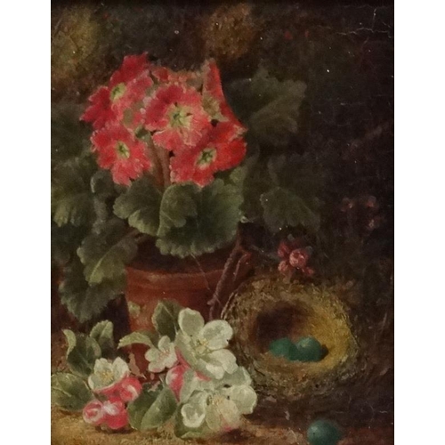 38 - Oliver Clare (1853-1927), Oil on canvas, Still life with Pelargoniums in flowerpot with a birds nest... 