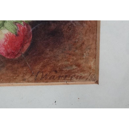 47 - H Warren 18??, Watercolour, Still life of fruit , Peach , Hazel nuts , Grapes , Cherries , Strawberr... 