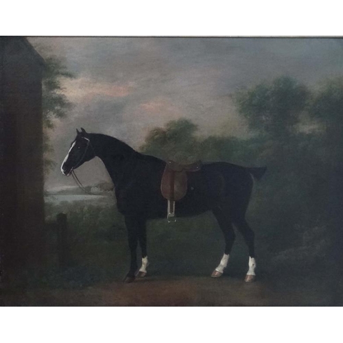 49 - John Boultbee (1753-1812 ) Equine School, Oil on canvas, A saddled horse belonging to Godfrey Thornt... 