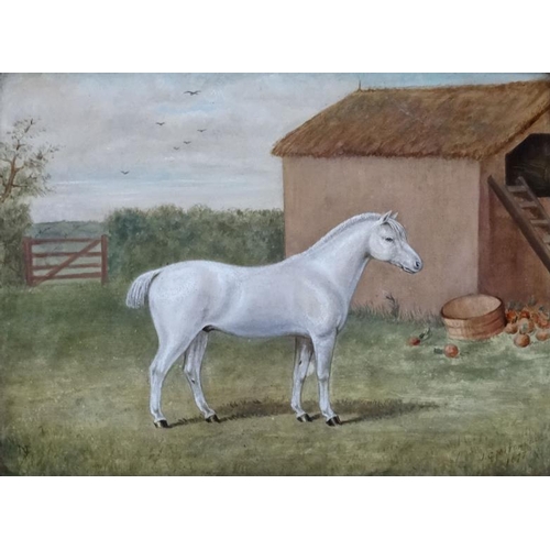 53 - JC Mitchell XIX British Equine School, Oil on board , a pair (2), Grey Exmoor Pony , ' First Prize W... 