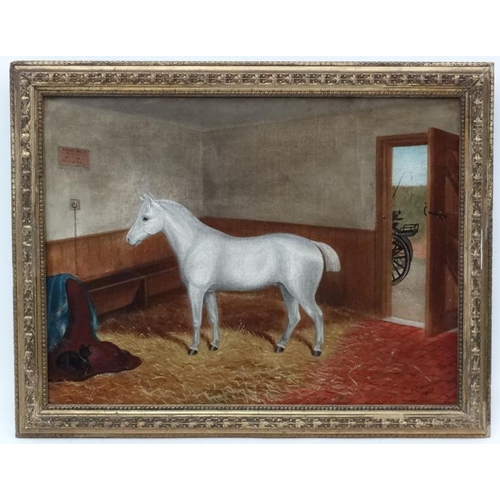 53 - JC Mitchell XIX British Equine School, Oil on board , a pair (2), Grey Exmoor Pony , ' First Prize W... 