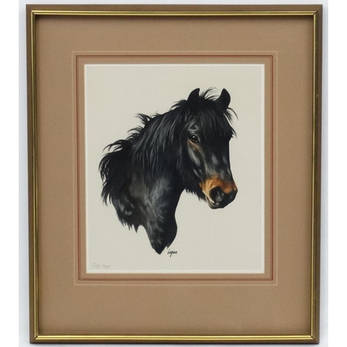 54 - Terry Logan (b 1938), Watercolour, '' Fell Pony '', Signed lower middle, titled lower left, artist's... 