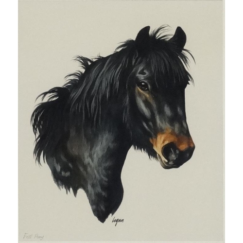 54 - Terry Logan (b 1938), Watercolour, '' Fell Pony '', Signed lower middle, titled lower left, artist's... 