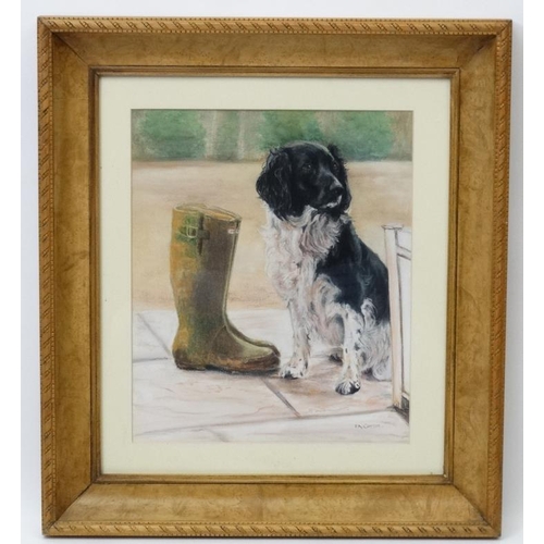 23 - Pat Cottee XX, Pastels,  ' I'm waiting ' a Spaniel dog sits patiently waiting for a walk by a pair o... 