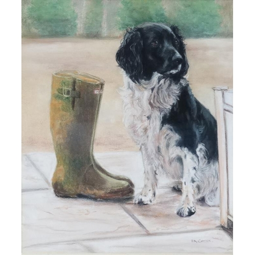 23 - Pat Cottee XX, Pastels,  ' I'm waiting ' a Spaniel dog sits patiently waiting for a walk by a pair o... 