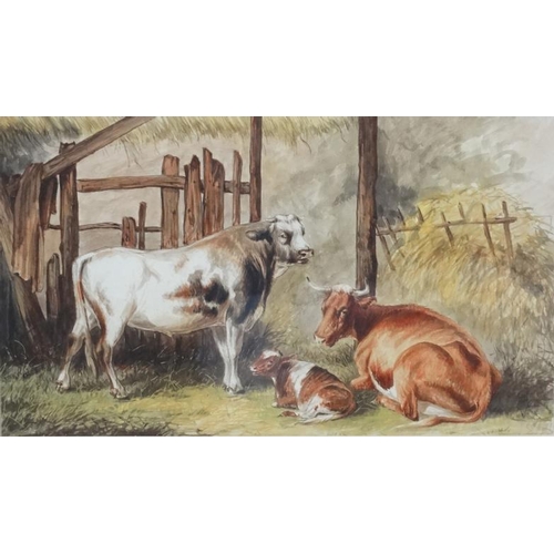 35 - Early XX English School, Watercolour and gouache, Cow , calf and bull in an old barn, Aperture 9 7/8... 