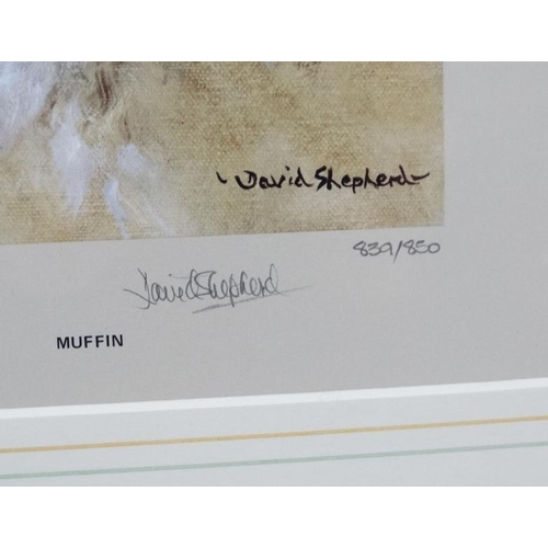 60 - After David Shepherd (b 1931),   Limited Edition  signed print (830/850), Portrait of ''Muffin'' - a... 