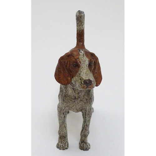 131 - A cold painted bronze figure of a hound / dog. 21stC. 4 3/4'' long