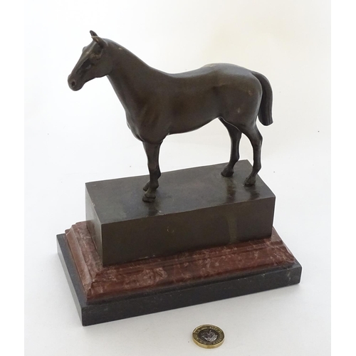 181 - Equine / Hose Racing : A late 20thC bronze model of a horse. Signed ' ANDRE',  mounted upon a marble... 