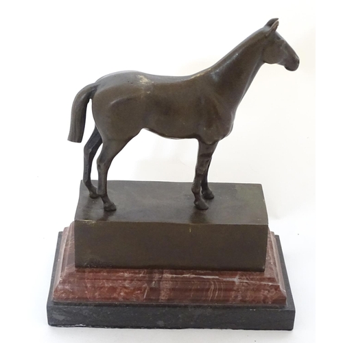 181 - Equine / Hose Racing : A late 20thC bronze model of a horse. Signed ' ANDRE',  mounted upon a marble... 