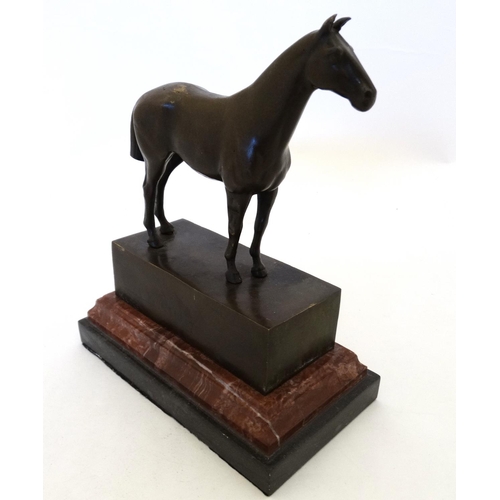 181 - Equine / Hose Racing : A late 20thC bronze model of a horse. Signed ' ANDRE',  mounted upon a marble... 