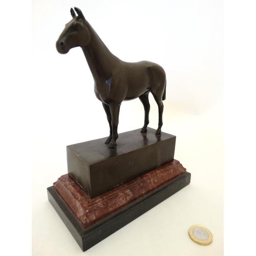 181 - Equine / Hose Racing : A late 20thC bronze model of a horse. Signed ' ANDRE',  mounted upon a marble... 