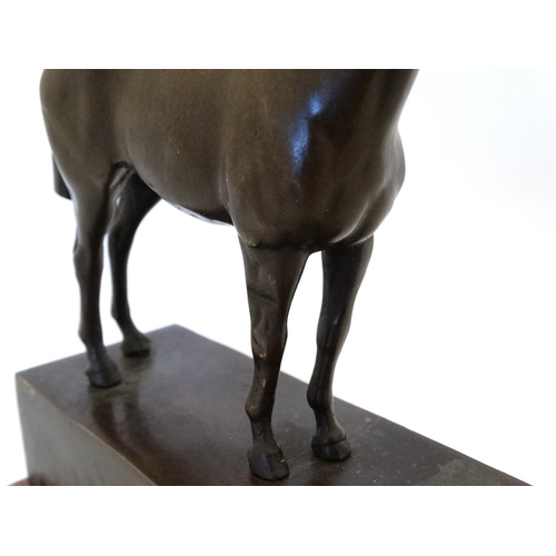 181 - Equine / Hose Racing : A late 20thC bronze model of a horse. Signed ' ANDRE',  mounted upon a marble... 