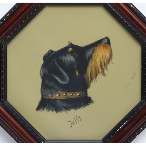 193 - After Amy Scott (1862-1950) Canine School, Coloured print Dog Portrait,  'Jaffy ' a Long haired Blac... 