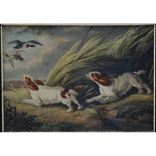 197 - Gun dogs: After Reineagle XVIII-XIX, Coloured print, A pair of Spaniels putting up a brace of duck f... 