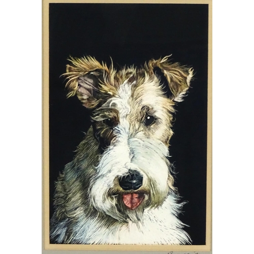 198 - Dog: M Burgess '79, Scraperboard with colour, Portrait of a Fox Terrier, Signed and dated to mount, ... 