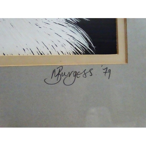 198 - Dog: M Burgess '79, Scraperboard with colour, Portrait of a Fox Terrier, Signed and dated to mount, ... 