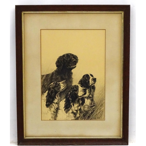 199 - Gun Dogs:A. E. S. 1910, Charcoal and watercolour, Three English Springer Spaniels and a black Flat C... 