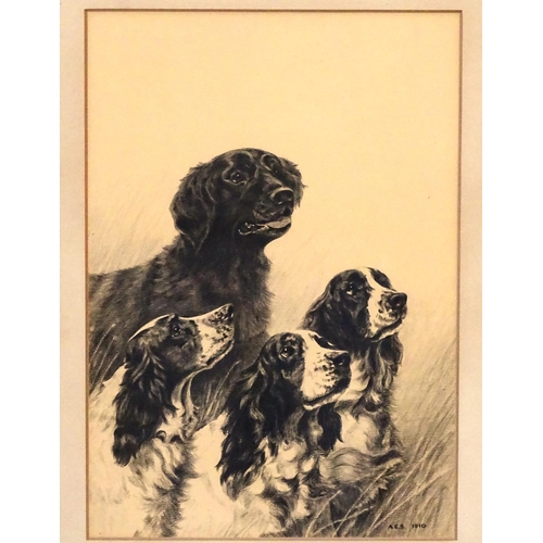 199 - Gun Dogs:A. E. S. 1910, Charcoal and watercolour, Three English Springer Spaniels and a black Flat C... 