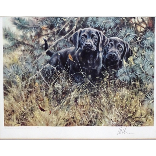 200 - Gun Dogs: After Mick Cawston (1959-2006), Signed limited edition coloured print, 57/850, Two black L... 