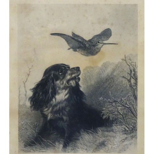 201 - Gun dog: R T Ryall after RICHARD ANDSELL (1815-1885), Monochrome engravings, a pair, 'Cocker and Woo... 