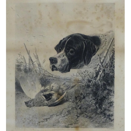 201 - Gun dog: R T Ryall after RICHARD ANDSELL (1815-1885), Monochrome engravings, a pair, 'Cocker and Woo... 