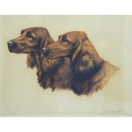 203 - Gun dogs: Leon Danchin (1887-1938), Coloured lithograph, Portrait heads of a pair of Irish / Red Set... 