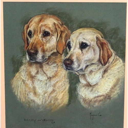 204 - Gun Dogs: Marjorie Cox (1915-2003), Pastel and charcoal, 'Becky and Venus 1978' a pair of yellow lab... 