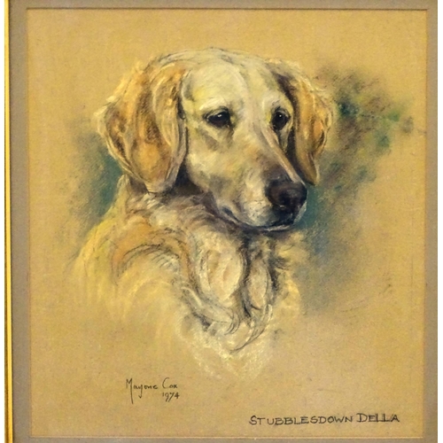 207 - Gun Dog: Marjorie Cox (1915-2003), Pastel and charcoal, Noteworthy Pedigree Golden Retriever gun dog... 