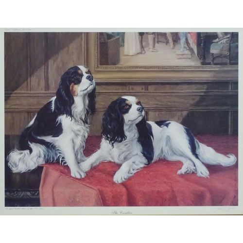 208 - John L Baker (1922) Canine School, Limited edition signed coloured dog print 234/500, ' The Cavalier... 