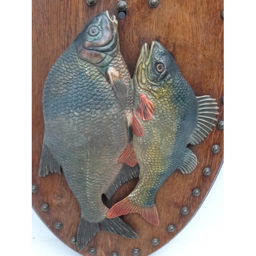 243 - Course Fishing :  A contemporary oak shield with a polychromed resin Freshwater Bream and a Freshwat... 