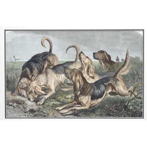 300 - Bloodhounds: After J Bledloe Godward (act 1880-1894), Hand coloured etching, Bloodhounds on the scen... 