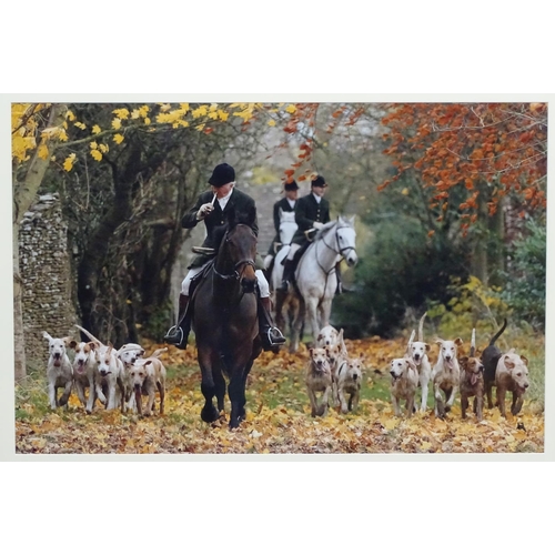 315 - Hunting : Photographic print, Duke of Beaufort pack with hounds and MOH riding through a wood, Apert... 