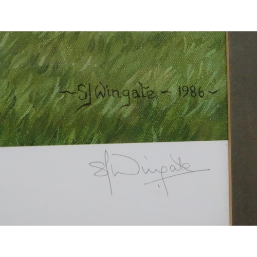 353 - Horse Racing :  SJ Wingate 1986, Signed limited edition coloured print 243/500, ' Dancing Brave , Pa... 