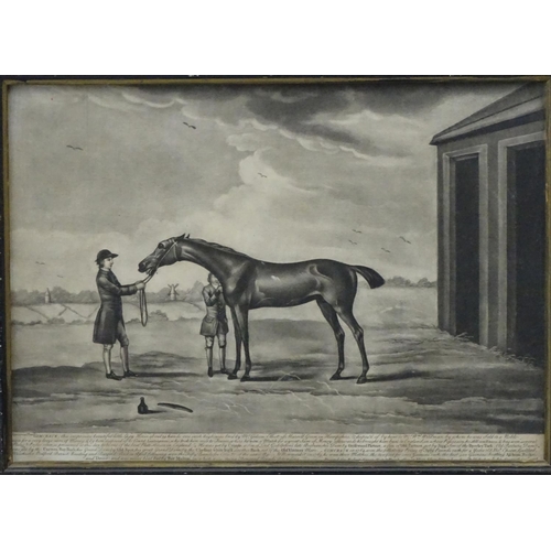 356 - Horse Racing: After J Nost Sartorius (1759-c.1830) Equine School, Monochrome engravings, a pair, 'Gi... 