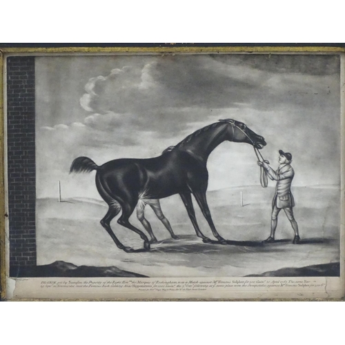 356 - Horse Racing: After J Nost Sartorius (1759-c.1830) Equine School, Monochrome engravings, a pair, 'Gi... 