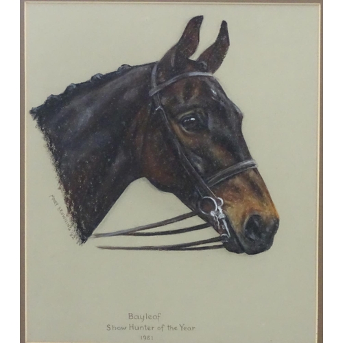 359 - Horse: Mary Browning (XX), Pastels,  Head of  'Bayleaf, Show Hunter of the Year 1981' Signed and dat... 