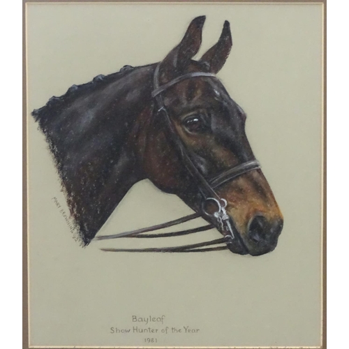 359 - Horse: Mary Browning (XX), Pastels,  Head of  'Bayleaf, Show Hunter of the Year 1981' Signed and dat... 